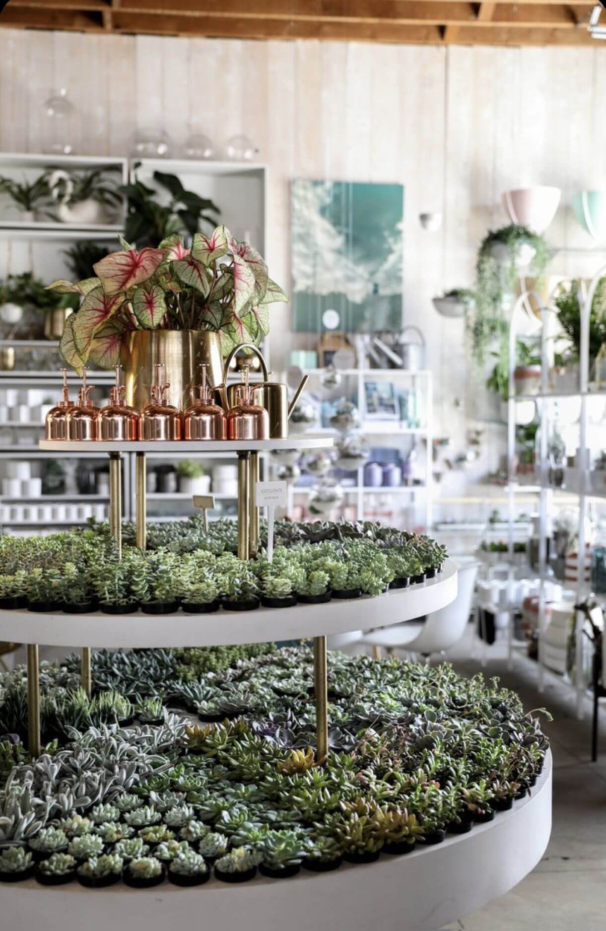 mẫu thiết kế cửa hàng cây cảnh chuyên nghiệp, hiện đại, thẩm mỹ không thể bỏ qua