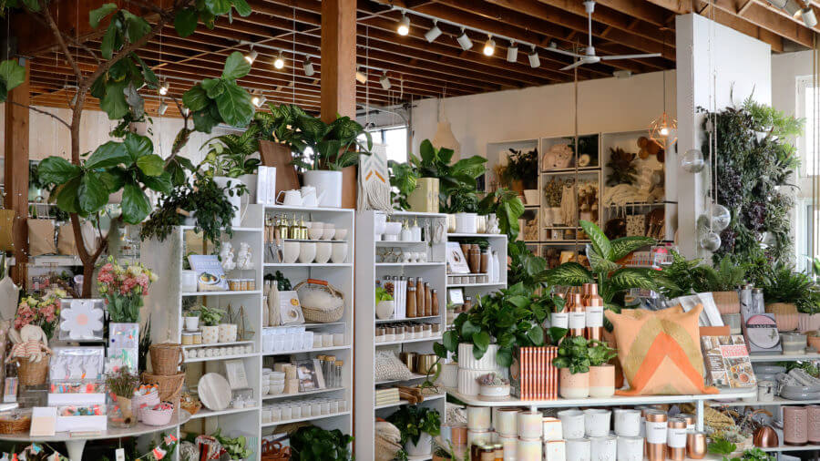 mẫu thiết kế cửa hàng cây cảnh chuyên nghiệp, hiện đại, thẩm mỹ không thể bỏ qua