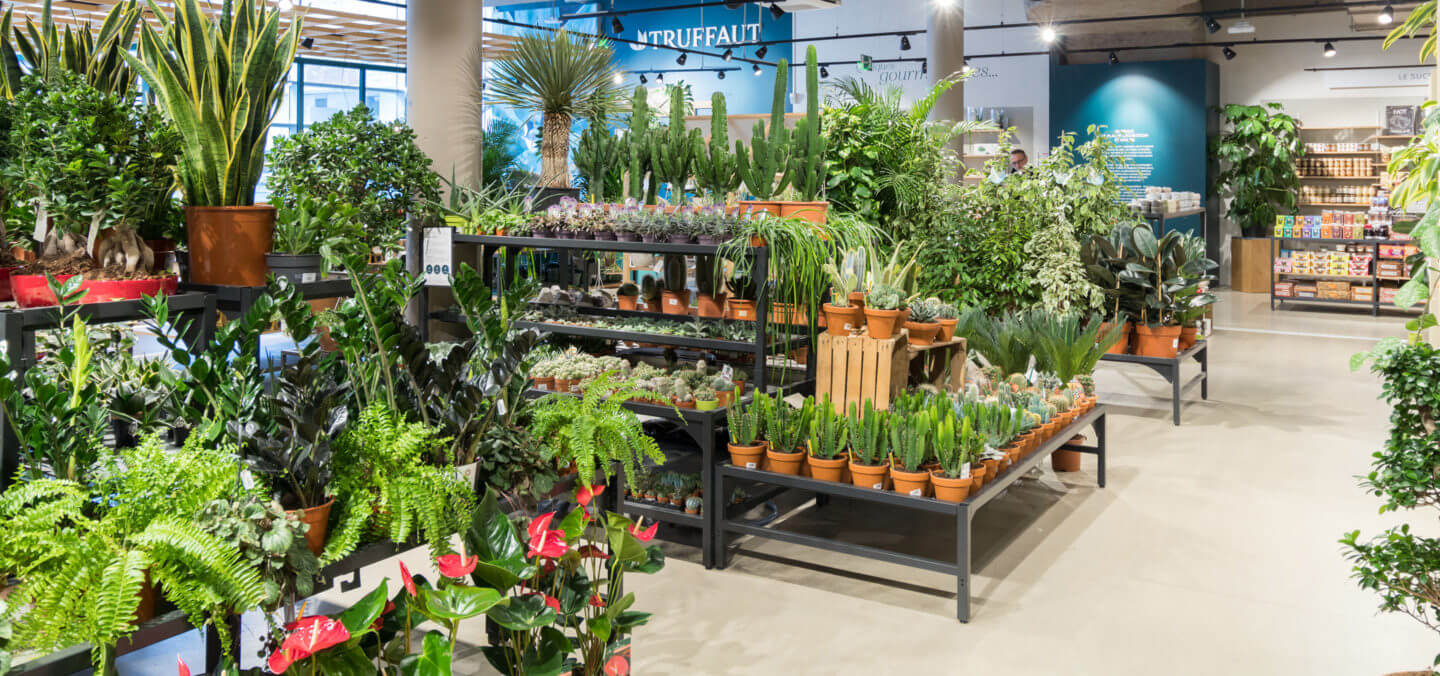 mẫu thiết kế cửa hàng cây cảnh chuyên nghiệp, hiện đại, thẩm mỹ không thể bỏ qua