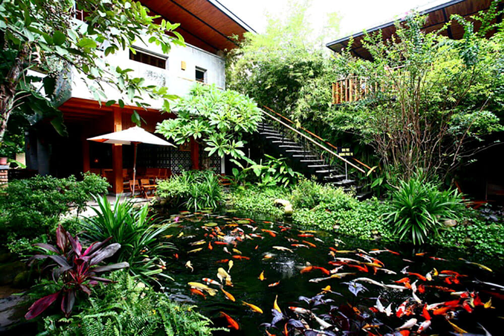 thiết kế quán cà phê cá koi Pendecor